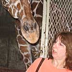 Click to view photos from the trip